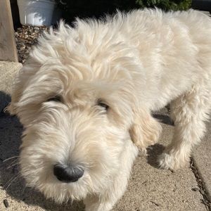 Meet your Posher, Kiera